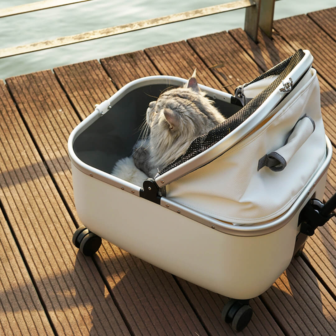 Mooqu Rolling Cat Carrier with Wheels