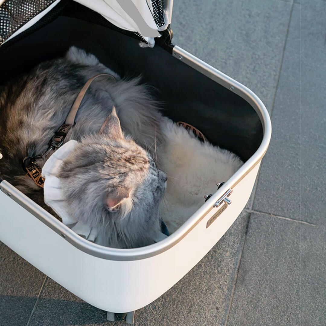 Mooqu Rolling Cat Carrier with Wheels