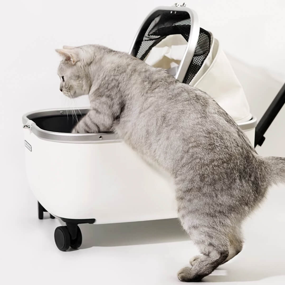 Mooqu Rolling Cat Carrier with Wheels