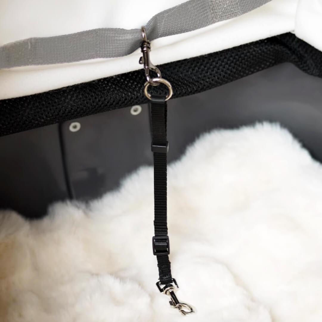 Mooqu Rolling Cat Carrier with Wheels