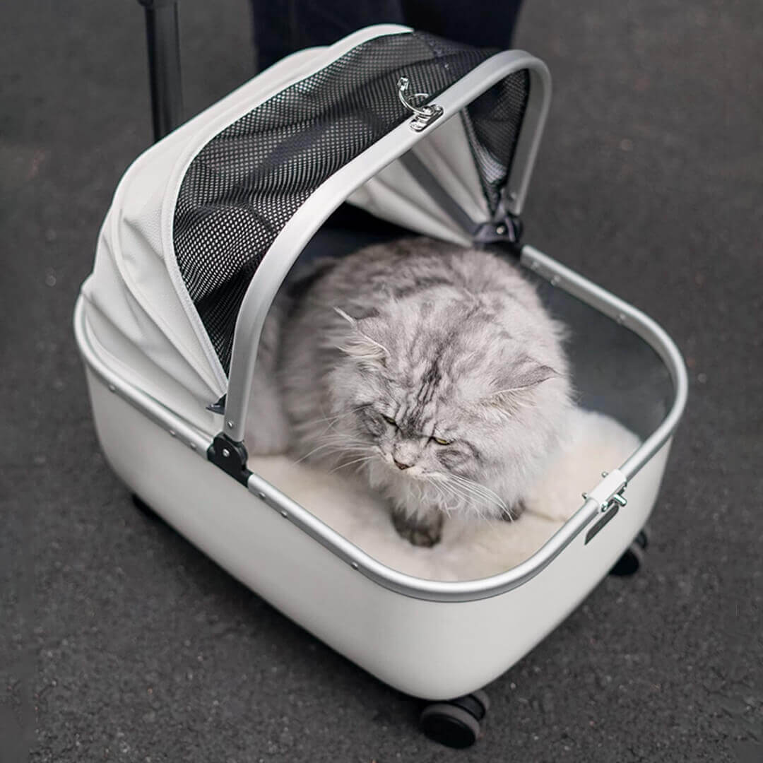 Mooqu Rolling Cat Carrier with Wheels