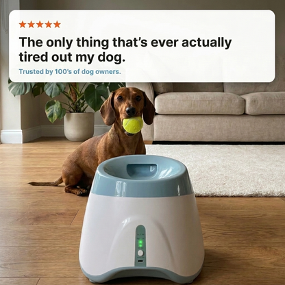 Launchpaw™ Ball Launcher